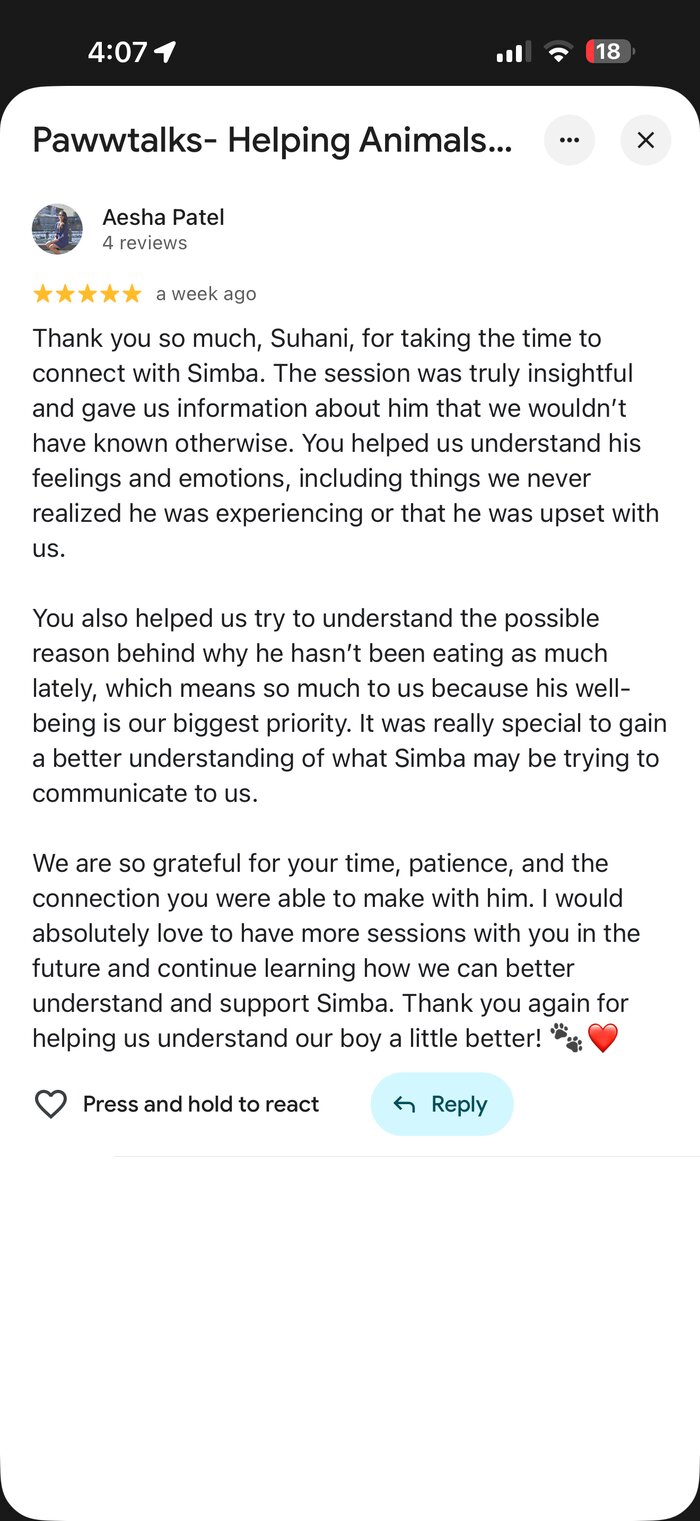 Google review from Aesha Patel about her session with Simba
