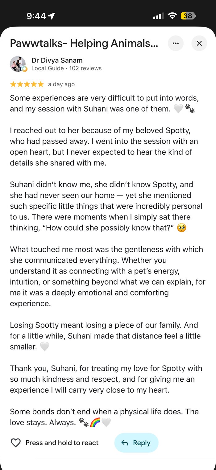 Google review from Dr Divya Sanam about her in-spirit session with Spotty