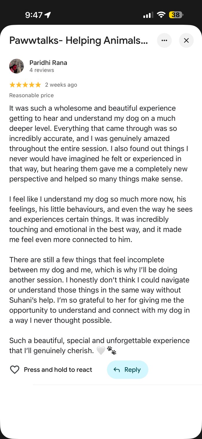 Google review from Paridhi Rana