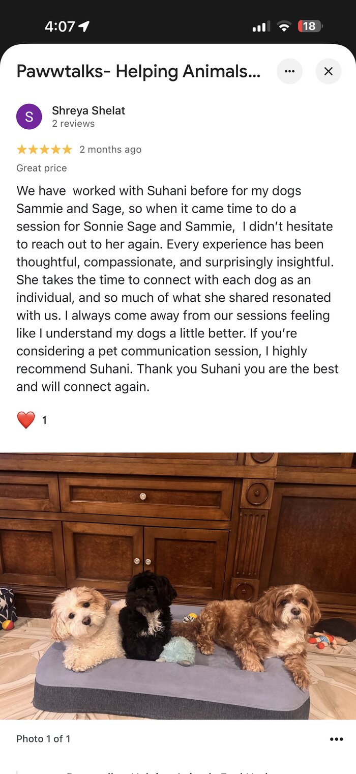 Google review from Shreya Shelat, USA