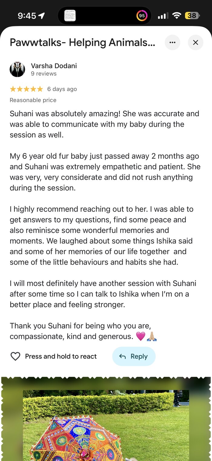 Google review from Varsha Dodani, Hong Kong